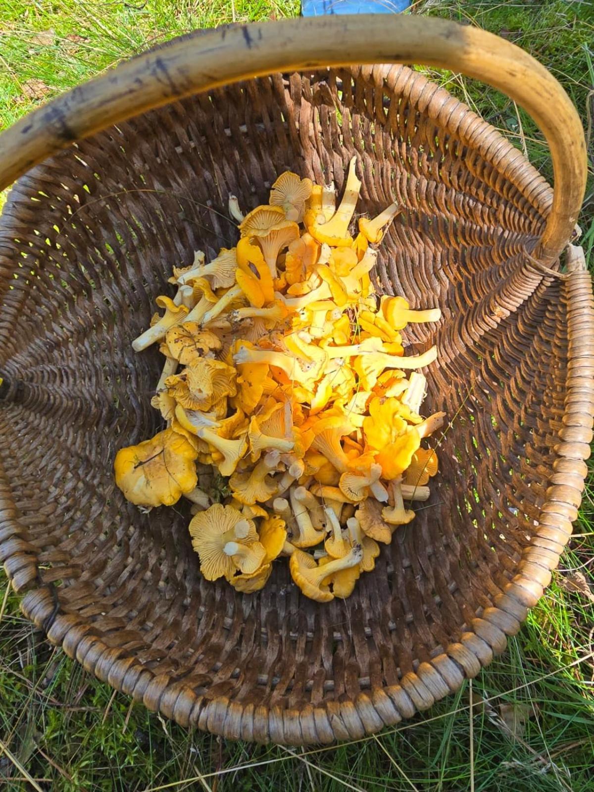 Przesieki Drawa汽车旅馆 外观 照片
